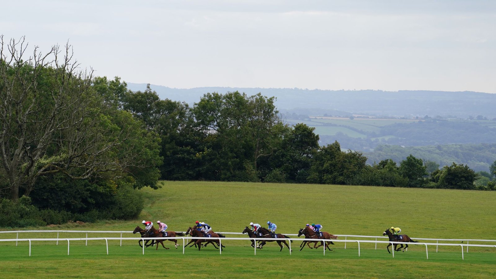 Exciting Racing Action Awaits at Bath and Worcester