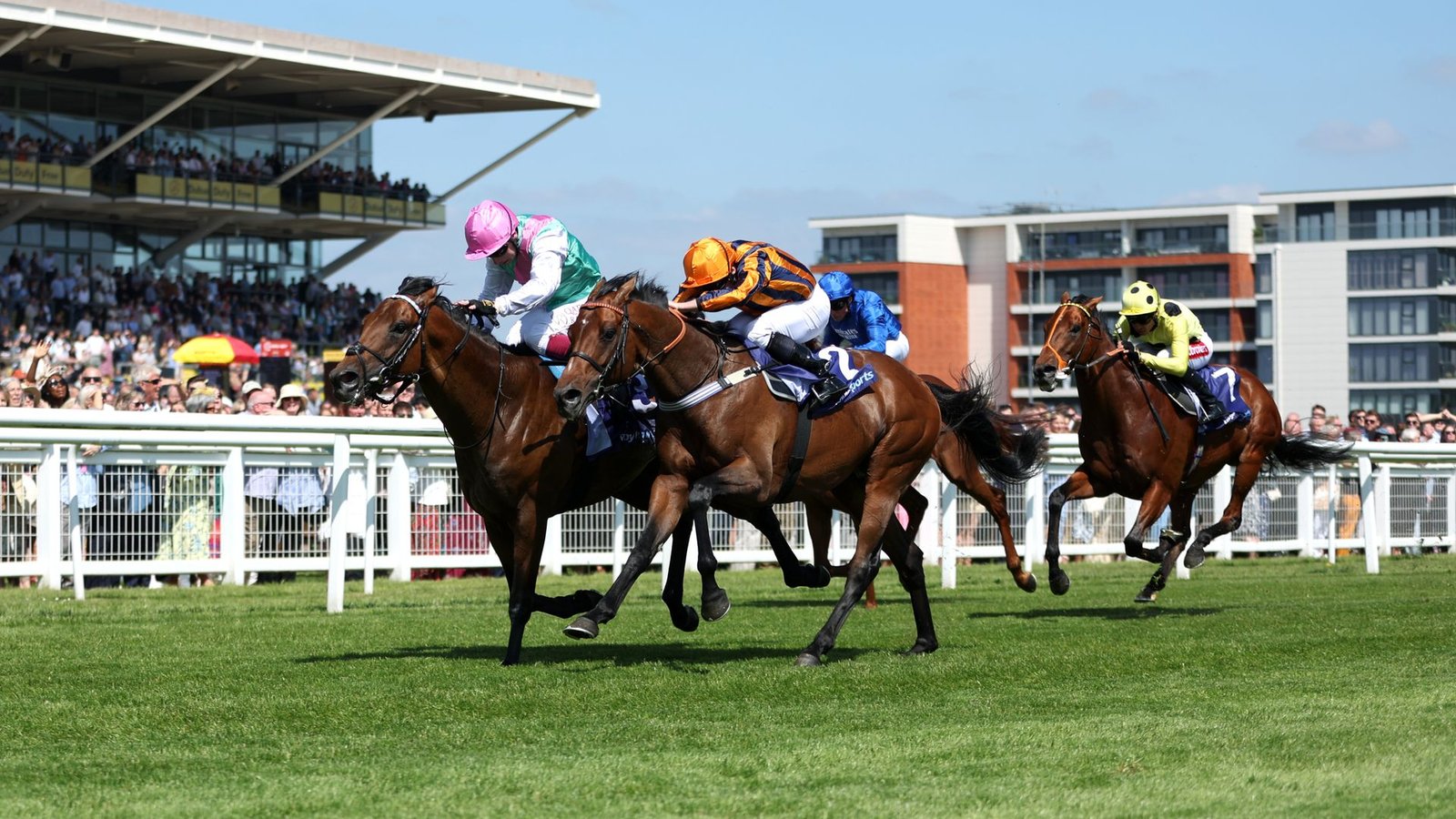 Weekend Racing Preview: Sahlan Set to Shine at Newbury