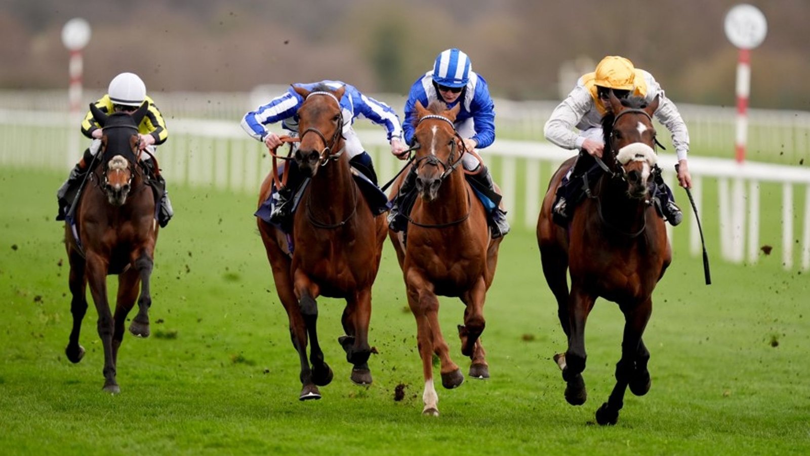Doncaster and Bath Set for Live Racing Action This Friday